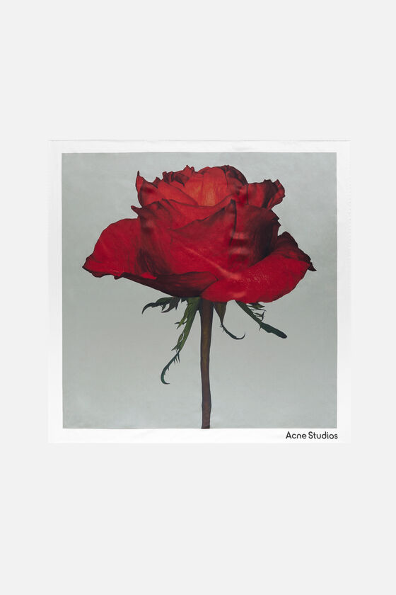 FN-UX-SCAR000484, White