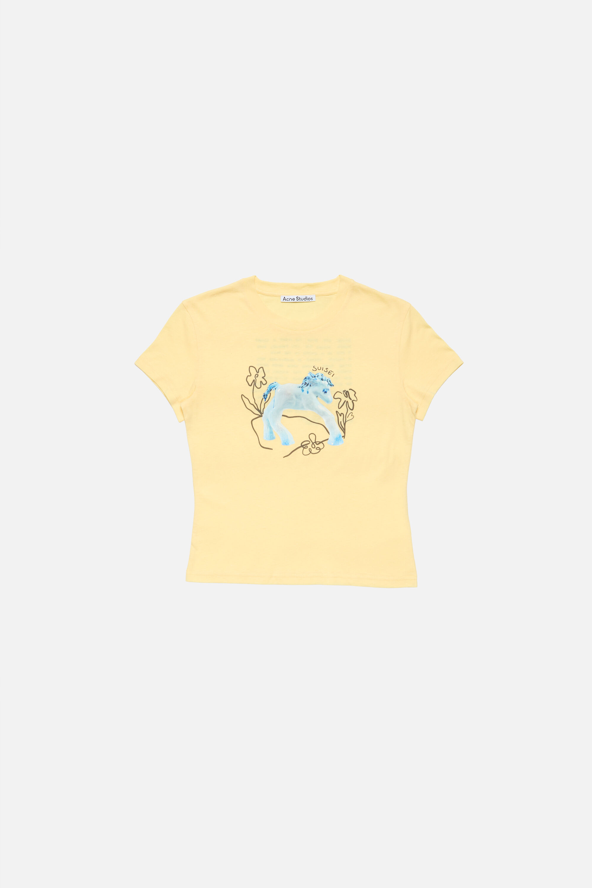 Acne Studios – Acne Studios x Apollinaria Broche Collaboration