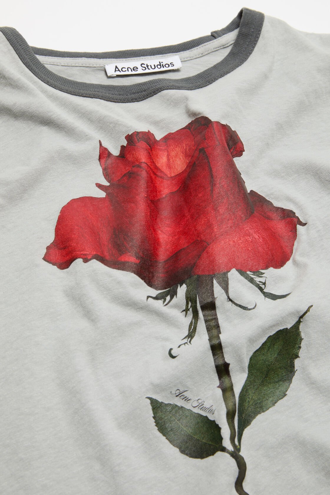 Graphic rose t-shirt, Grey/red, 2000x
