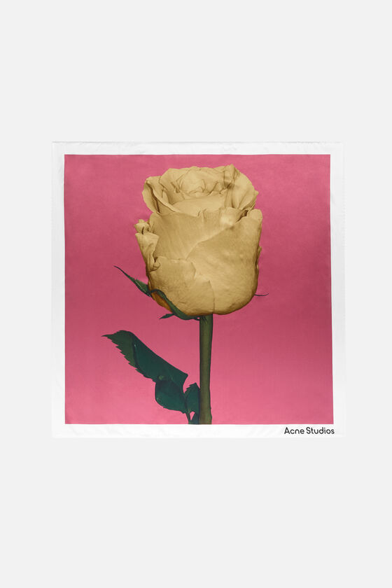 FN-UX-SCAR000484, Old pink