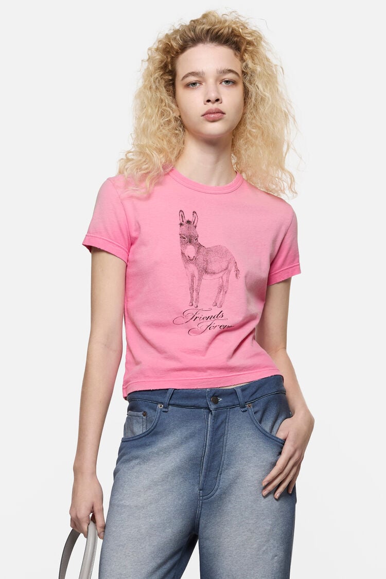 SP-UX-TSHI000085, Rosa