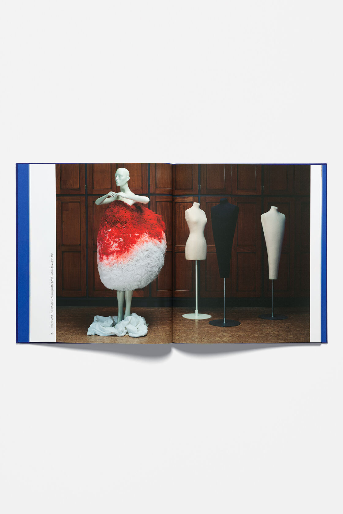Reference: Hussein Chalayan, Blue, 2000x
