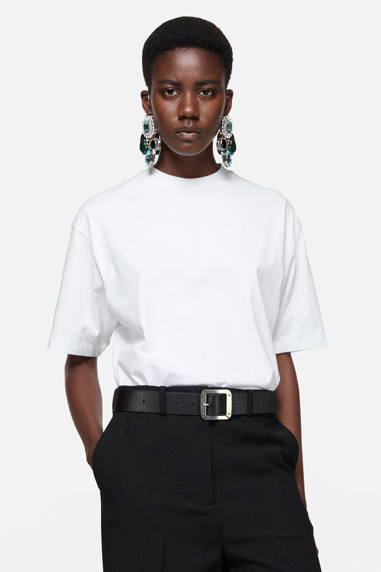 FN-UX-TSHI000254, 光白色