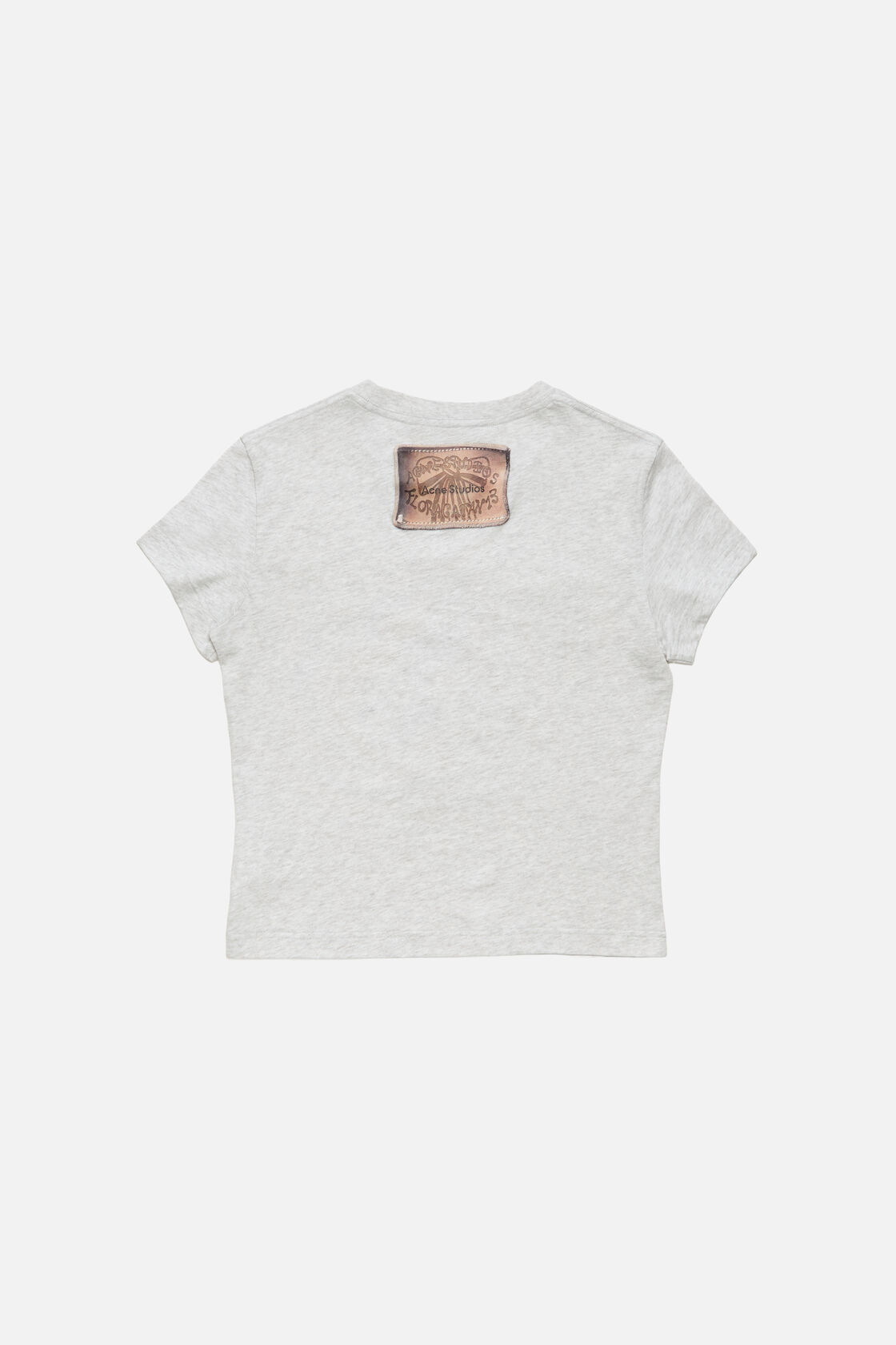 Fitted graphic t-shirt, Grey Melange, 2000x